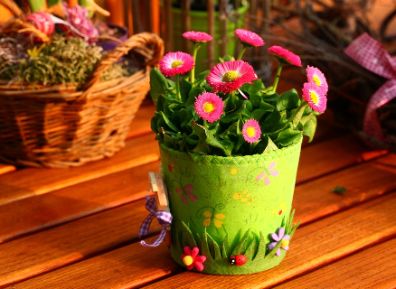 květina v květináči, zdroj: www.pixabay.com, CC0 Public Doma